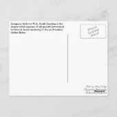 Briefkaart - BosWeg (Achterkant)