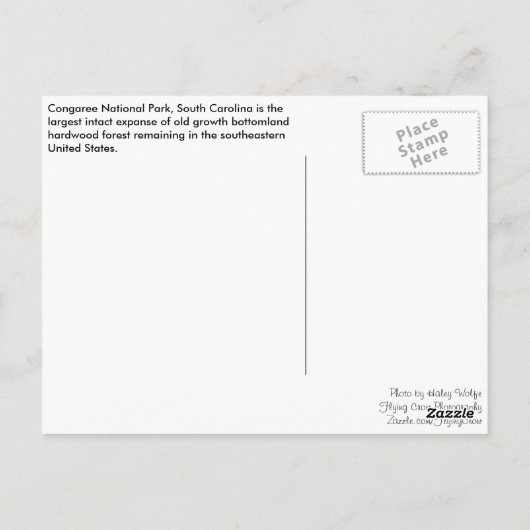 Briefkaart - BosWeg (Achterkant)