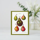 Briefkaart-Botanicals-Pierre Joseph Redoute 11 Briefkaart (Staand voorkant)