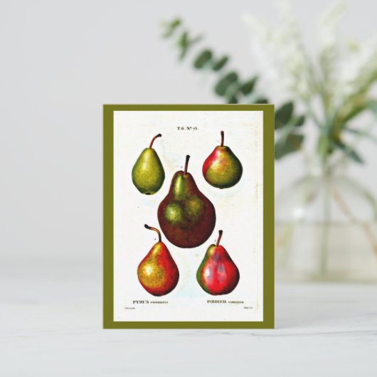 Briefkaart-Botanicals-Pierre Joseph Redoute 11 Briefkaart (Staand voorkant)