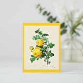 Briefkaart-Botanicals-Pierre Joseph Redoute 13 Briefkaart (Staand voorkant)