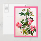 Briefkaart-Botanicals-Pierre Joseph Redoute 14 Briefkaart (Voorkant / Achterkant)