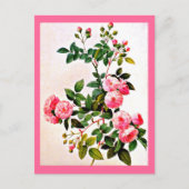 Briefkaart-Botanicals-Pierre Joseph Redoute 14 Briefkaart (Voorkant)