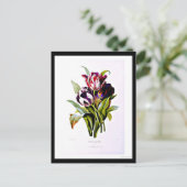 Briefkaart-Botanicals-Pierre Joseph Redoute 15 Briefkaart (Staand voorkant)