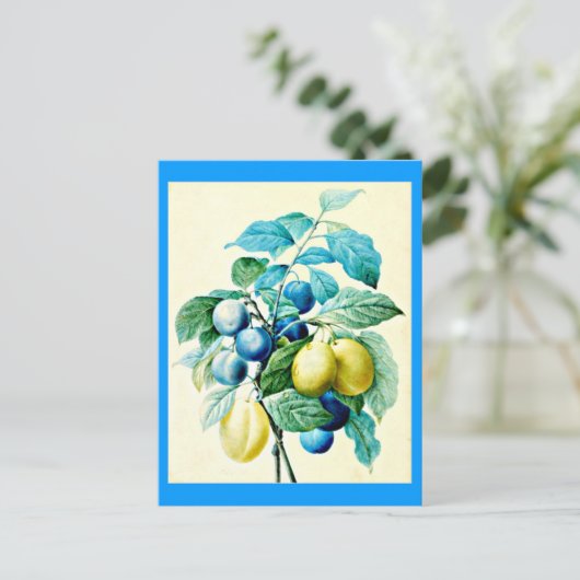 Briefkaart-Botanicals-Pierre Joseph Redoute 21 Briefkaart (Staand voorkant)