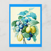 Briefkaart-Botanicals-Pierre Joseph Redoute 21 Briefkaart (Voorkant)