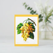 Briefkaart-Botanicals-Pierre Joseph Redoute 3 Briefkaart (Staand voorkant)