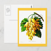 Briefkaart-Botanicals-Pierre Joseph Redoute 3 Briefkaart (Voorkant / Achterkant)