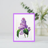 Briefkaart-Botanicals-Pierre Joseph Redoute 8 Briefkaart (Staand voorkant)