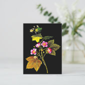 Briefkaart-Botanische Art-Mary Delany 4 Briefkaart (Staand voorkant)