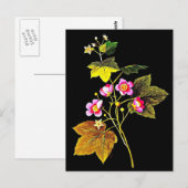 Briefkaart-Botanische Art-Mary Delany 4 Briefkaart (Voorkant / Achterkant)
