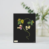 Briefkaart-Botanische Art-Mary Delany 5 Briefkaart (Staand voorkant)