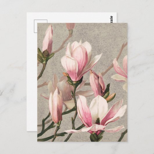  Briefkaart Botanische illustratie (Voorkant / Achterkant)