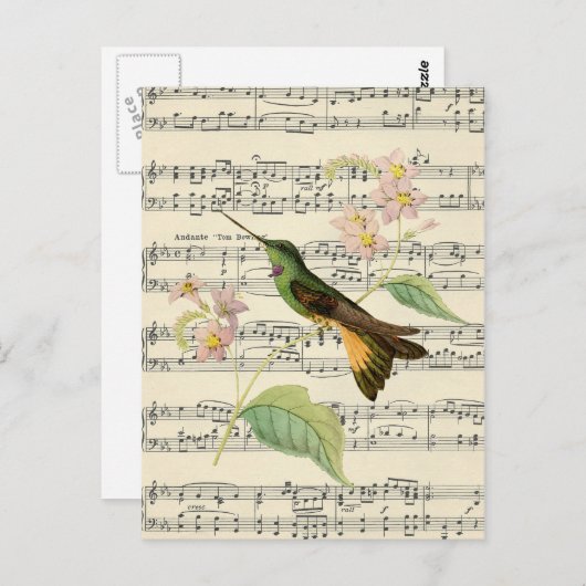 briefkaart botanische kolibrie (Voorkant / Achterkant)