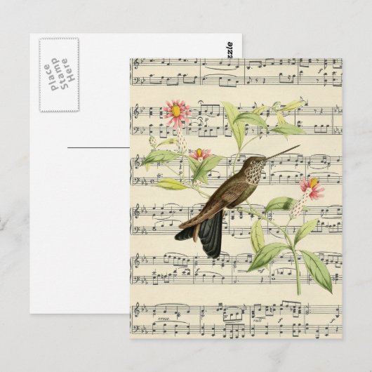  briefkaart botanische kolibrie (Voorkant / Achterkant)