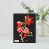 Briefkaart-Botanische Kunst-Mary Delany 10 Briefkaart (Staand voorkant)