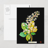 Briefkaart-Botanische Kunst-Mary Delany 11 Briefkaart (Voorkant / Achterkant)