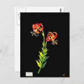 Briefkaart-Botanische Kunst-Mary Delany 12 Briefkaart (Voorkant / Achterkant)