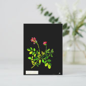 Briefkaart-Botanische Kunst-Mary Delany 15 Briefkaart (Staand voorkant)