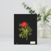 Briefkaart-Botanische Kunst-Mary Delany 18 Briefkaart (Staand voorkant)
