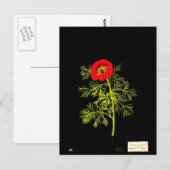 Briefkaart-Botanische Kunst-Mary Delany 18 Briefkaart (Voorkant / Achterkant)
