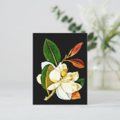 Briefkaart-Botanische Kunst-Mary Delany 1 Briefkaart (Staand voorkant)