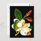 Briefkaart-Botanische Kunst-Mary Delany 1 Briefkaart (Voorkant / Achterkant)