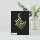 Briefkaart-Botanische Kunst-Mary Delany 20 Briefkaart (Staand voorkant)