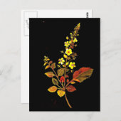 Briefkaart-Botanische Kunst-Mary Delany 8 Briefkaart (Voorkant / Achterkant)