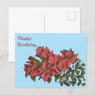 Briefkaart Bougainvillea