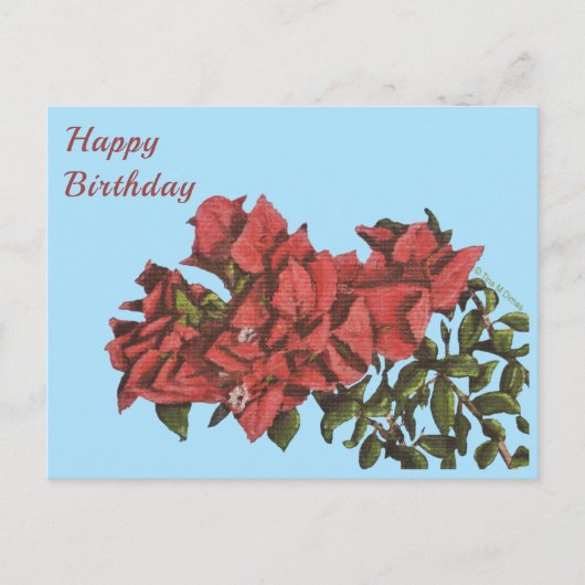 Briefkaart Bougainvillea (Voorkant)