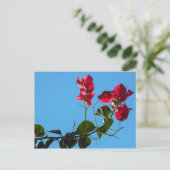 Briefkaart Bougainvillea (Staand voorkant)