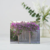 Briefkaart Bougainvillea (Staand voorkant)