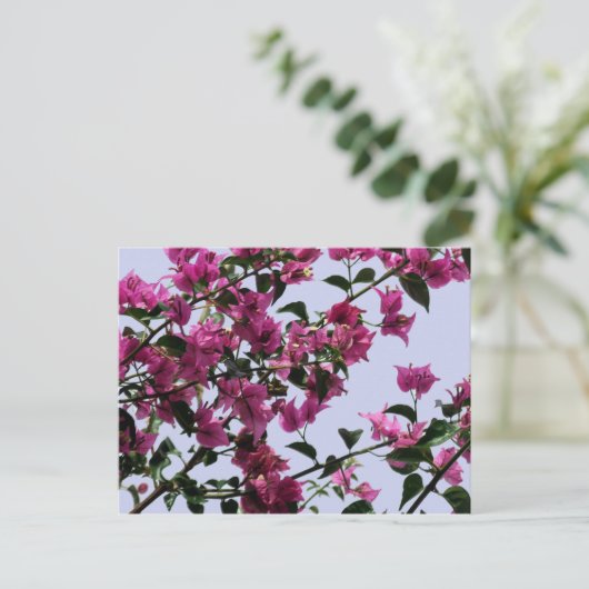 Briefkaart Bougainvillea Branches (Staand voorkant)