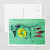 Briefkaart! Briefkaart (Voorkant / Achterkant)