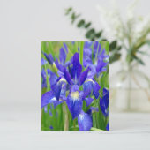 Briefkaart Bright Blue Iris Flowers (Staand voorkant)