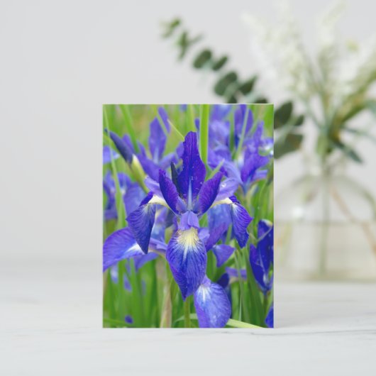 Briefkaart Bright Blue Iris Flowers (Staand voorkant)