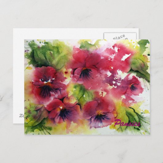 Briefkaart Bright Pansy (Voorkant / Achterkant)