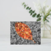 Briefkaart Bright schaduwen (Staand voorkant)