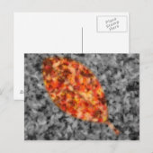 Briefkaart Bright schaduwen (Voorkant / Achterkant)