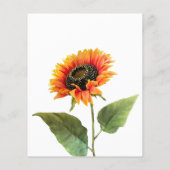 Briefkaart brochure voor Sunflower Wedding (Achterkant)