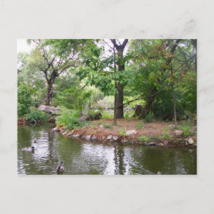 Briefkaart Bronx Zoo