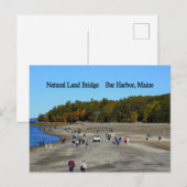 Briefkaart Brug Band Harbour (Voorkant / Achterkant)