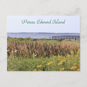 Briefkaart brug, wilde bloemen, oceaan, Prince Edw