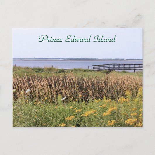 Briefkaart brug, wilde bloemen, oceaan, Prince Edw (Voorkant)