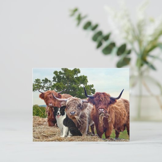 briefkaart "Buckeroo & Friends" (Staand voorkant)
