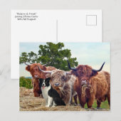 briefkaart "Buckeroo & Friends" (Voorkant / Achterkant)