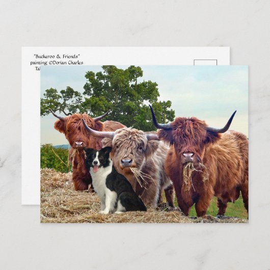 briefkaart "Buckeroo & Friends" (Voorkant / Achterkant)
