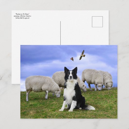 Briefkaart "Buckeroo on Duty" (Voorkant / Achterkant)