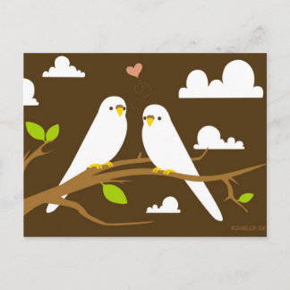 Briefkaart Budgies